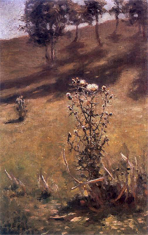Dried Thistles Shout